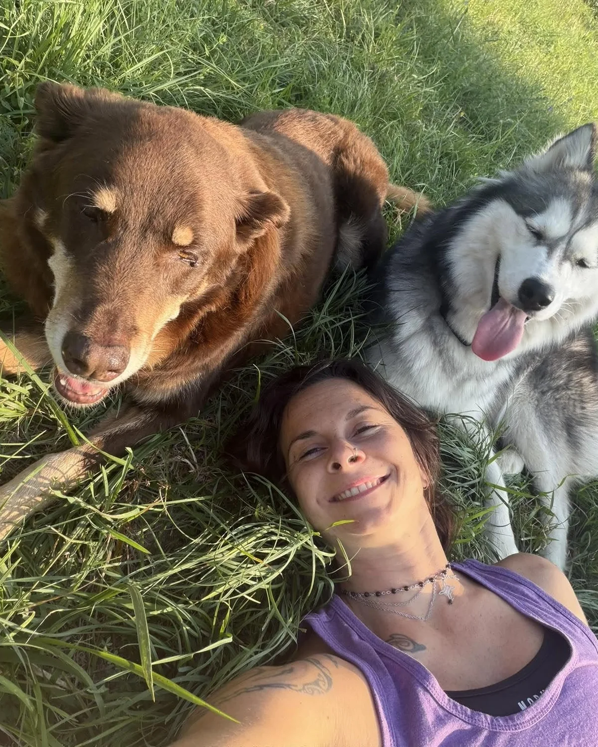 Allongée dans l’herbe entre mes deux chiens, un brun et un husky